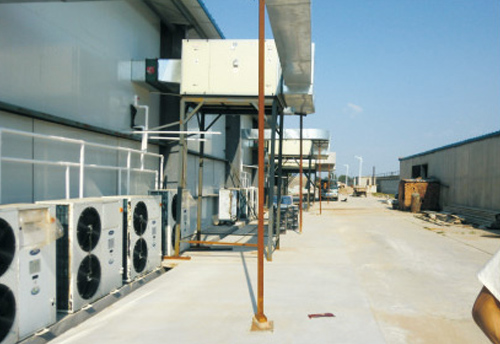 菇廠整廠設(shè)計